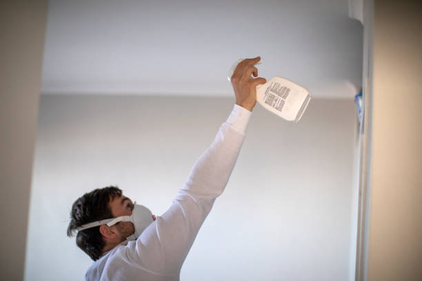Best Basement Mold Remediation in Laguna Park, TX
