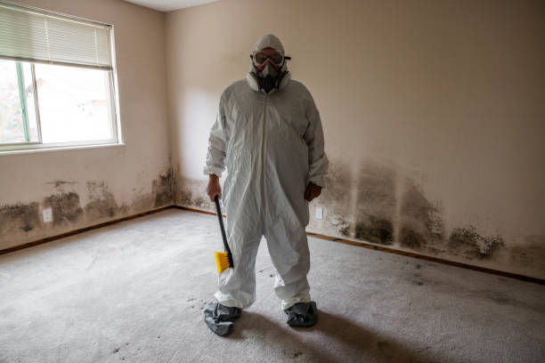 Best Industrial Mold Remediation in Laguna Park, TX